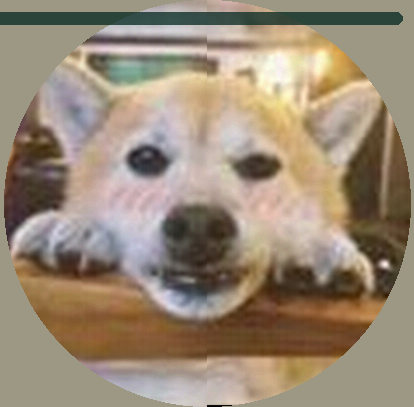 孙浩